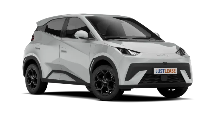 BYD BYD DOLPHIN SURF
