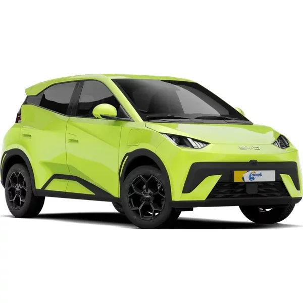 BYD DOLPHIN SURF private lease